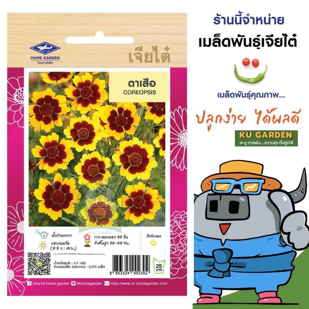 CHIATAI 🇹🇭 ดอกไม้ เจียไต๋ H019#ตาเสือ  ดอกไม้ซอง ผักซอง เมล็ดพันธุ์  เมล็ดพันธุ์ผัก เมล็ดพันธุ์ดอกไม้ ดอกไม้เจียไต๋ ตราเครื่องบิน