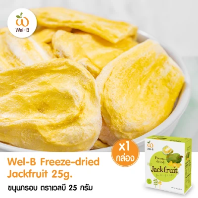 Wel-B Freeze-dried Jackfruit 25g.