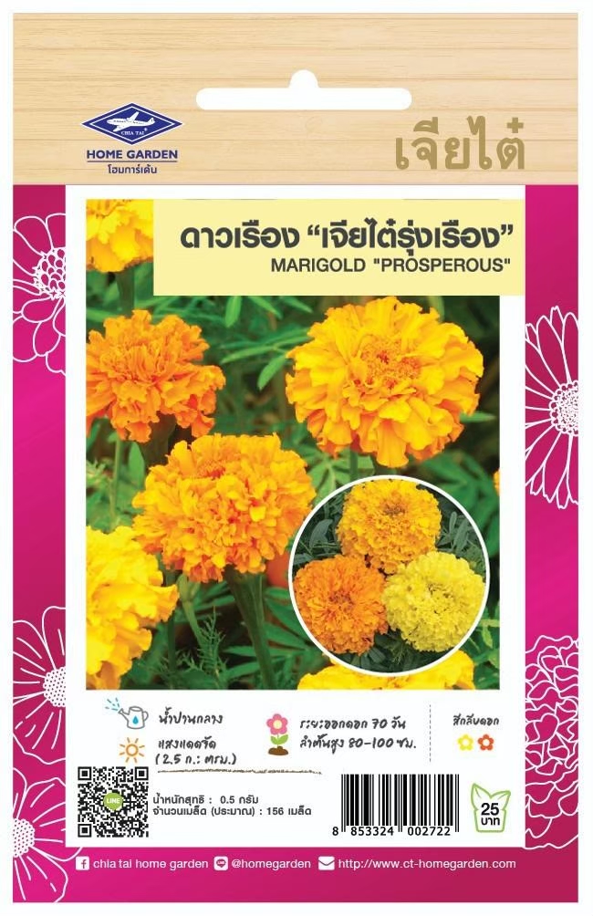 สีเหลือง-1