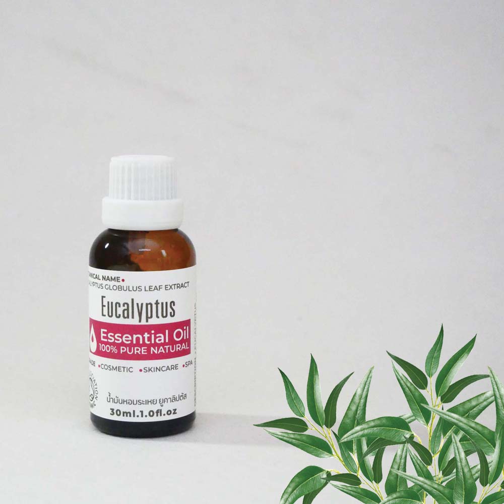 Essential Oil, Eucalyptus Essential Oil, Cosmetics, Skincare, Spa, 100% Pure, Size 10-50 Grams. ราคา 98 บาท*ส่งฟรี