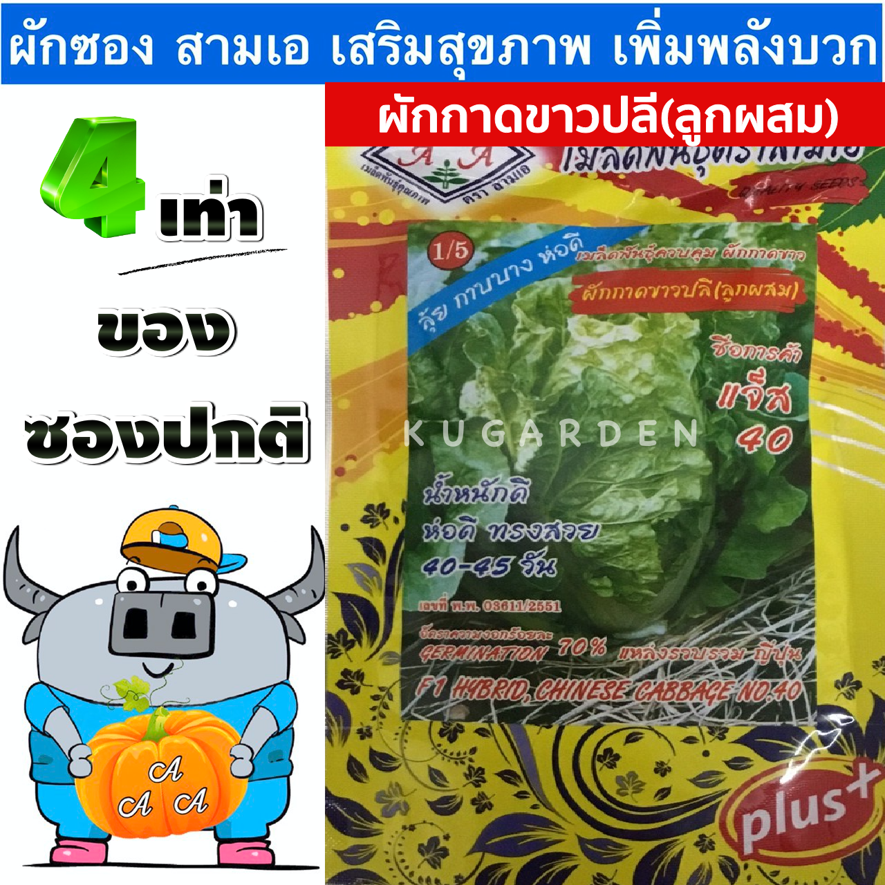 AAA 🇹🇭 ผักซอง 3A J001 #ผักกาดขาวปลี (ลูกผสม) ผักซองตั้ง ผักซองจัมโบ้ เมล็ดพันธุ์ผัก  AAA สามเอ