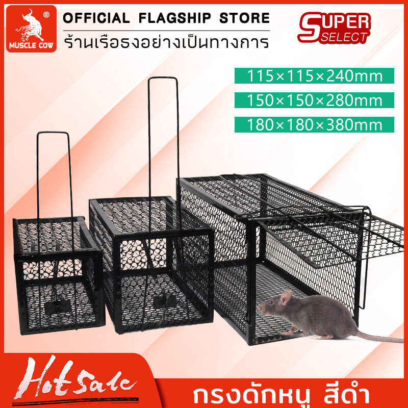 กรงดักหนูสปริง2ตัวโครงหนา กรงดักหนู 3 ขนาด กรงดักหนูแบบมีโครง กรงดักหนูสปริงคู่ กรงดักหนูนา กรงดักหนูเล็ก กับดักหนูขนาดใหญ่ ราคา 63 บาท*ส่งฟรี