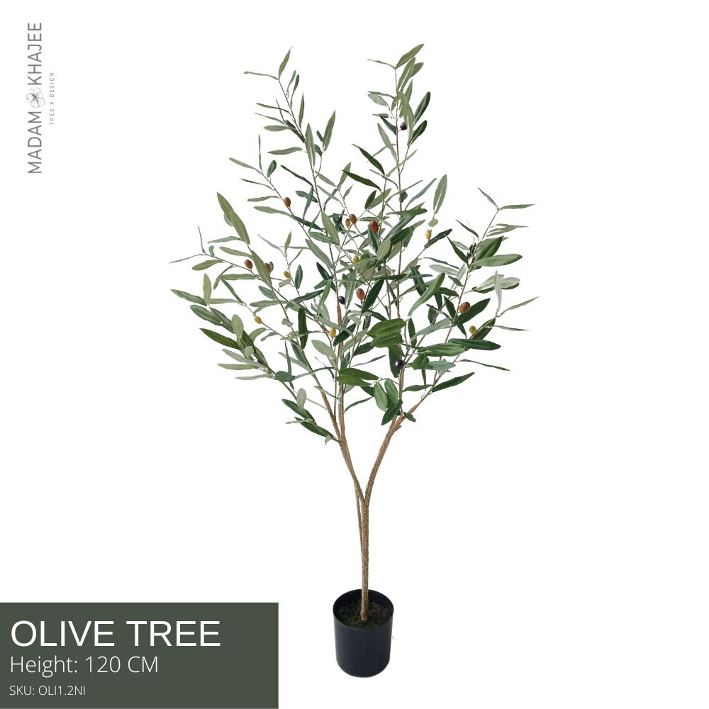 Olive Tree - Height 120 cm ต้นมะกอก ความสูง 120 ซม.ต้นมะกอกปลอม ต้นไม้ปลอมเกรดพรีเมี่ยมเพื่อการตกแต่ง ต้นไม้ประดิษฐ์ตกแต่งบ้าน คอนโด ราคา 3,900 บาท*ส่งฟรี