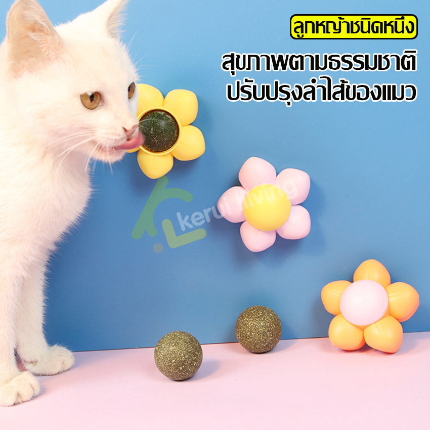 Catnip ball Wall cannabis cat catnip ball flower catnip ball pet toy catnip cat Wall catnip cat marijuana ราคา 39 บาท*ส่งฟรี