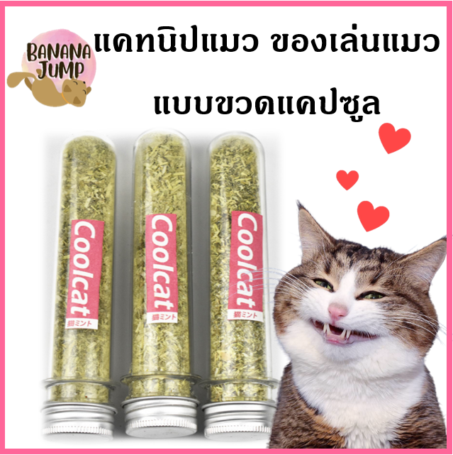 BJ Pet - แคทนิปแมว แคทนิปแบบแคปซูล แคทนิป ของเล่นแมว