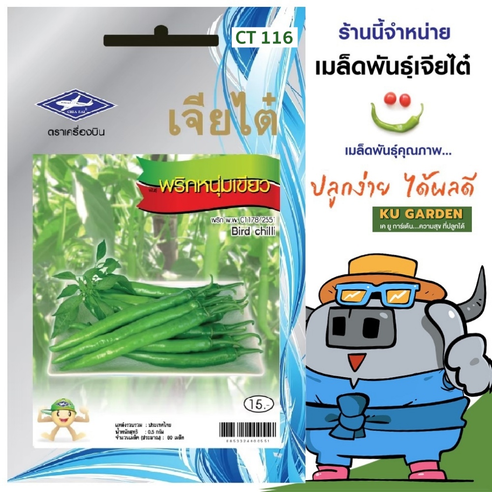 CHIATAI 🇹🇭 ผักซอง เจียไต๋ พริกหนุ่มเขียว O116 ประมาณ 80 เมล็ด พริก เมล็ดพันธุ์ เมล็ดพันธุ์ผัก ผักสวนครัว ผักเจียไต๋ ตราเครื่องบิน