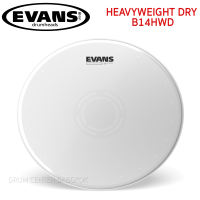 Evans Drumhead หนังกลองสแนร์ ขนาด 14นิ้ว