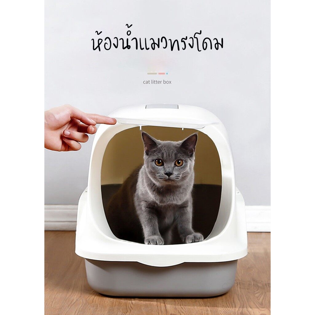 Cat Little Box ห้องน้ำแมวทรงโดม ห้องน้ำแมว กระบะทรายแมว รุ่น ฝาเปิดเต็มใบ สินค้าดี ราคถูกจัดส่งในประเทษไทย #P087