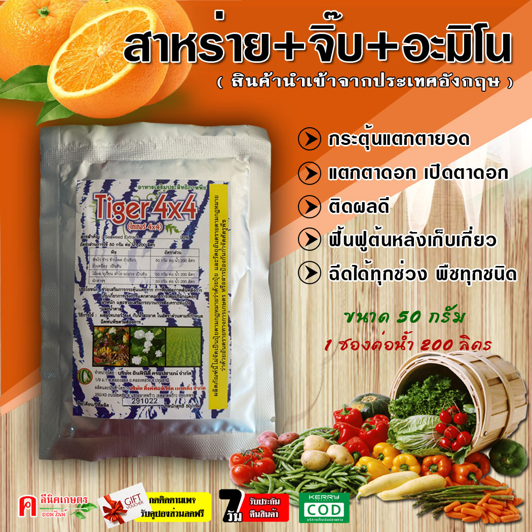 ?????? สาหร่าย + อะมิโน + จิ๊บ ?????? ฮอร์โมนพืช ธาตุอาหารเสริม ธาตุอาหารรอง กระตุ้นแตกราก ฟื้นฟูลำต้น เร่งการแตกตาดอก