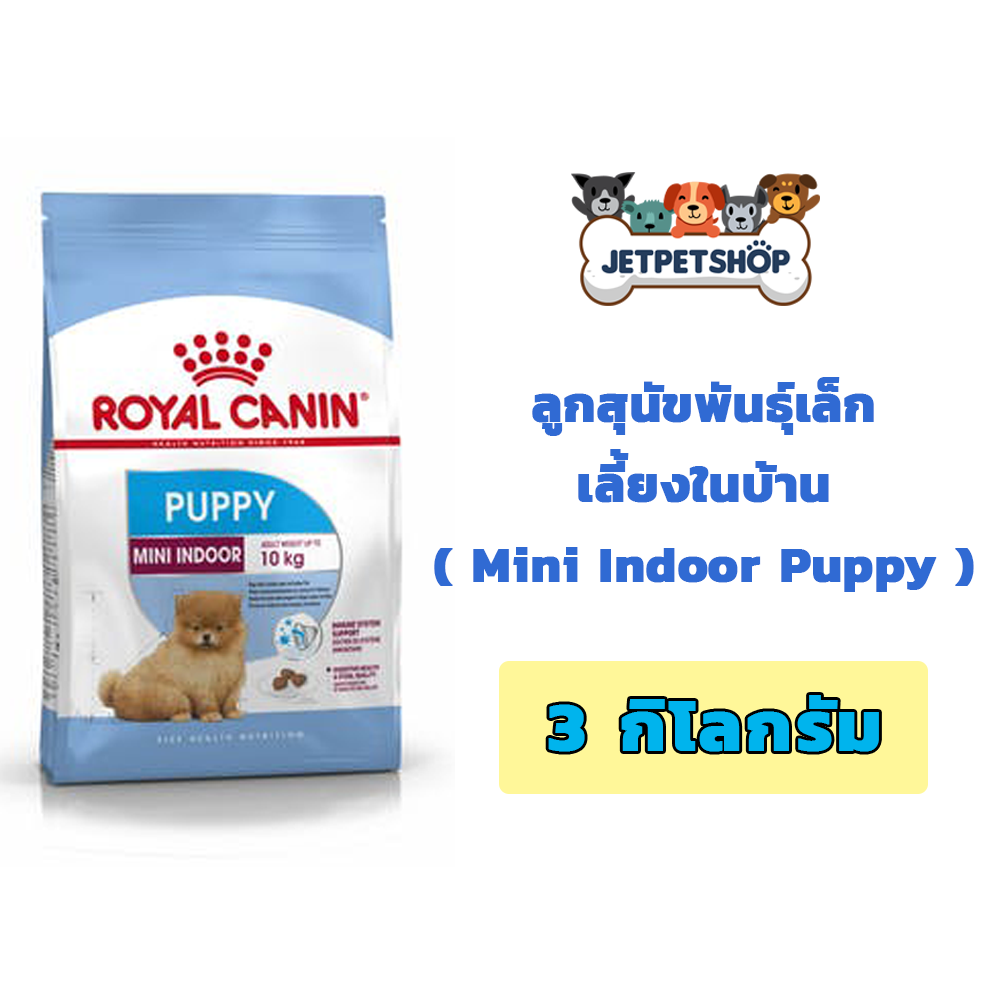Royal Canin Mini Indoor Puppy 3 kg อาหารลูกสุนัขพันธุ์เล็กเลี้ยงภายในบ้าน