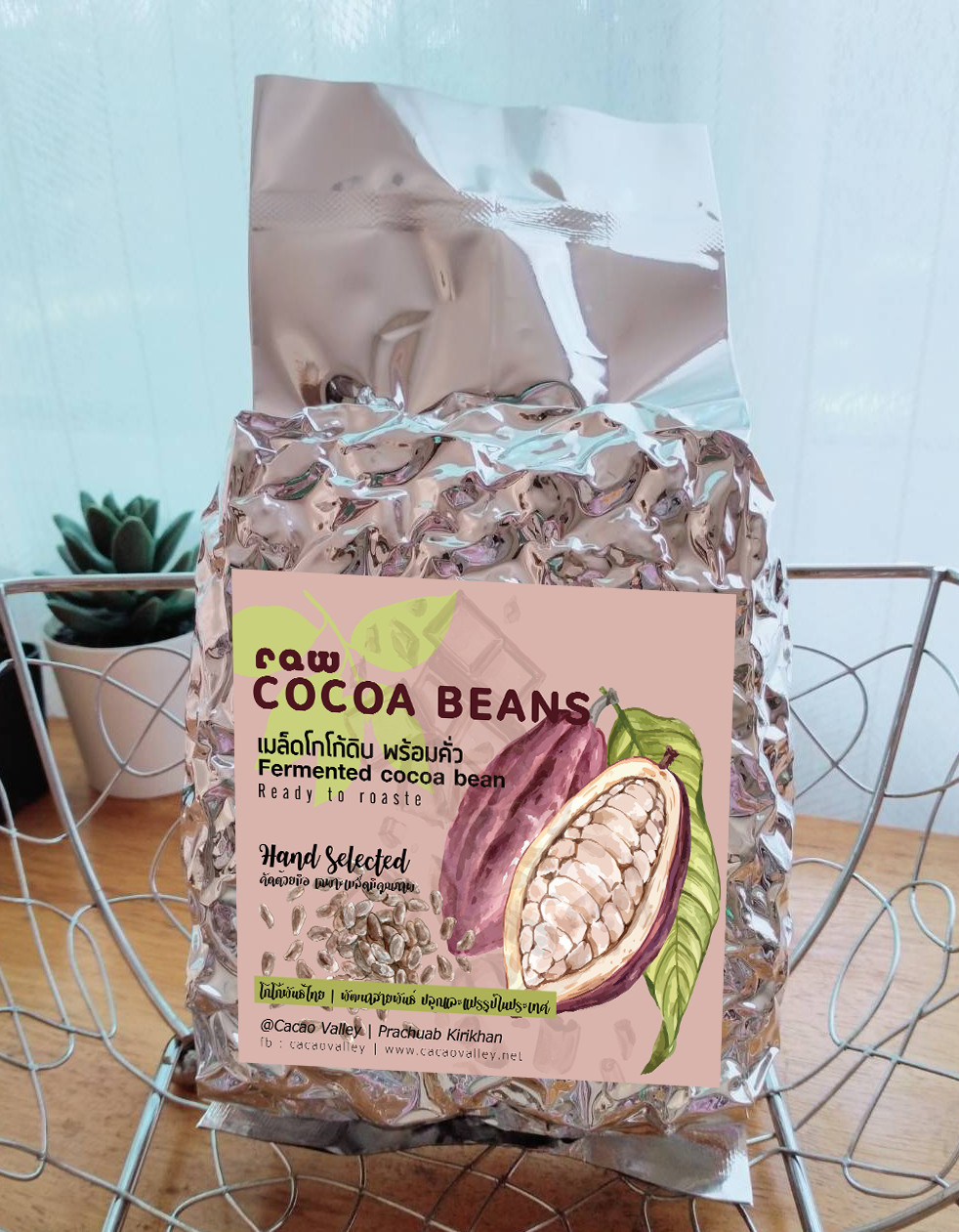 Raw Cacao Bean, fermented, ready to roast for cacao nibs เมล็ดโกโก้ พร้อมทำเป็นโกโก้นิบส์ 500g