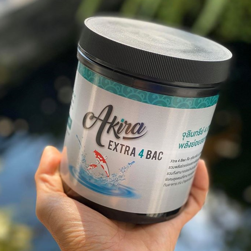 จุลินทรีย์น้ำใส Akira Extra 4 bac ถูกพิสูจน์มาแล้วจากลูกค้าทั่วประเทศ สุดยอดเรื่องทำให้น้ำในบ่อปลา/ตู้ปลา ใส สะอาด และมีคุณภาพดี บรรจุ 1 kg.