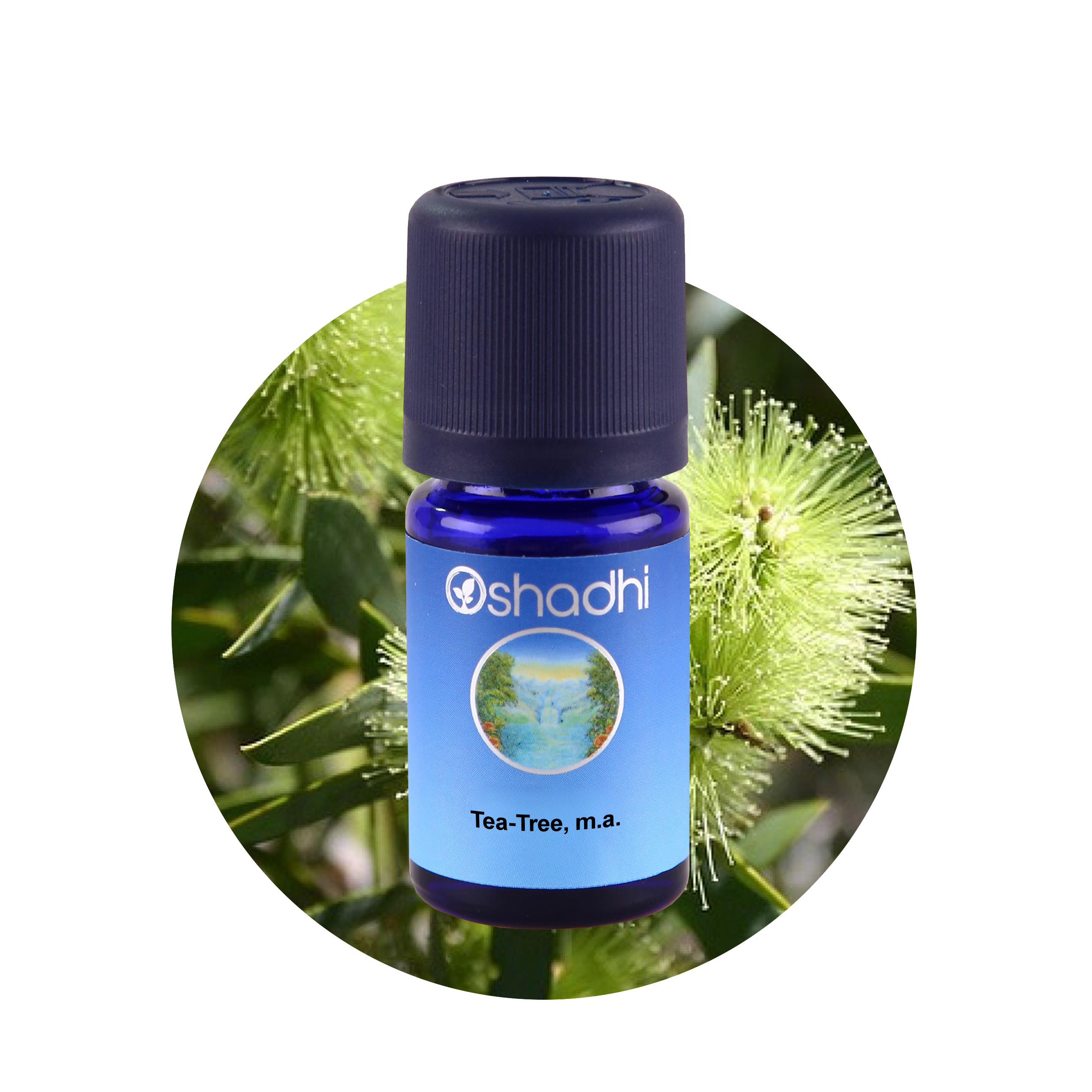 Tea-Tree, m.a. ราคา 515 บาท*ส่งฟรี