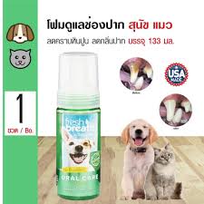 แบบสเปรย์ Tropiclean fresh breath oral care foam สุนัข 133 มล.