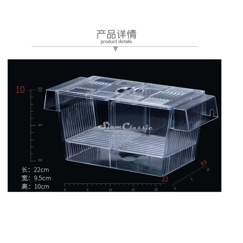 กล่องแยกเลี้ยงปลา กุ้ง ในตู้ปลา Breeder Box