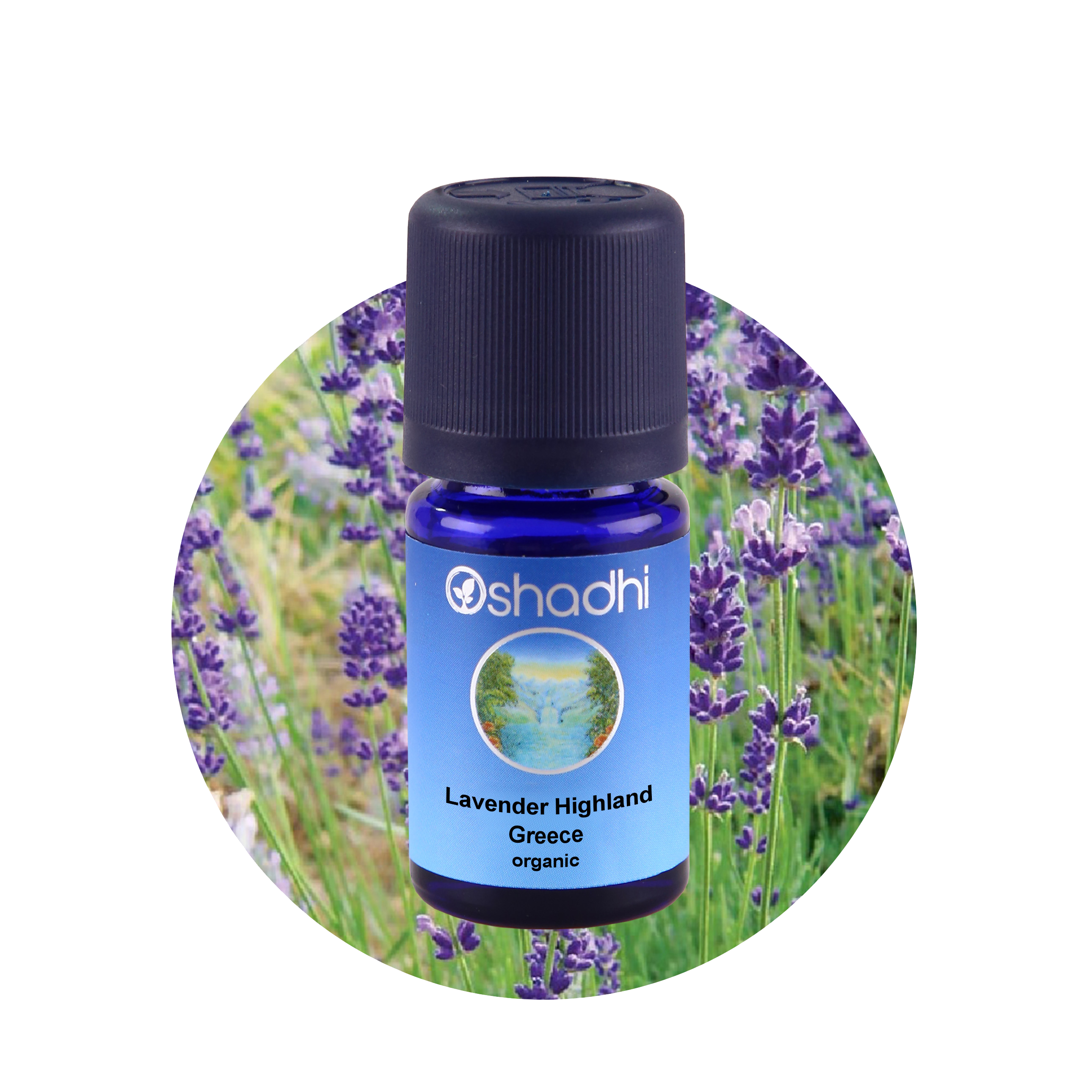 Lavender Highland, Greece, organic ราคา 770 บาท*ส่งฟรี