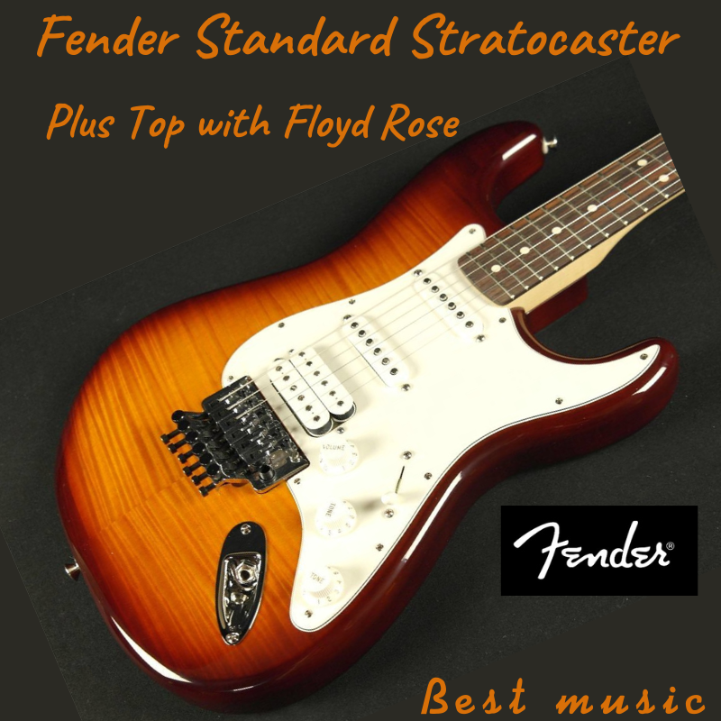 Fender Standard Stratocaster Plus Top With Floyd Rose