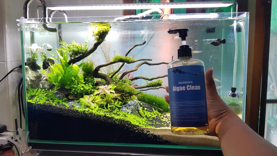 คาร์บอนน้ำ Aquamania Algae Clean ขนาด 500 ml.