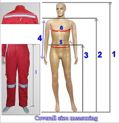 การวัดเทียบ Size