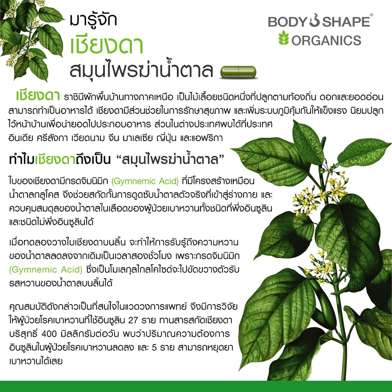 บอดี้เชพ Mana Tea ชาเชียงดา ลดเบาหวาน มีคุณสมบัติในการ ฆ่าเบาหวาน บอดี้เชพ Mana Tea ชาเชียงดา ลดเบาหวาน มีคุณสมบัติในการ ฆ่าเบาหวาน