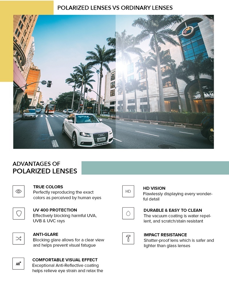 QINA POLARIZED CHART.jpg