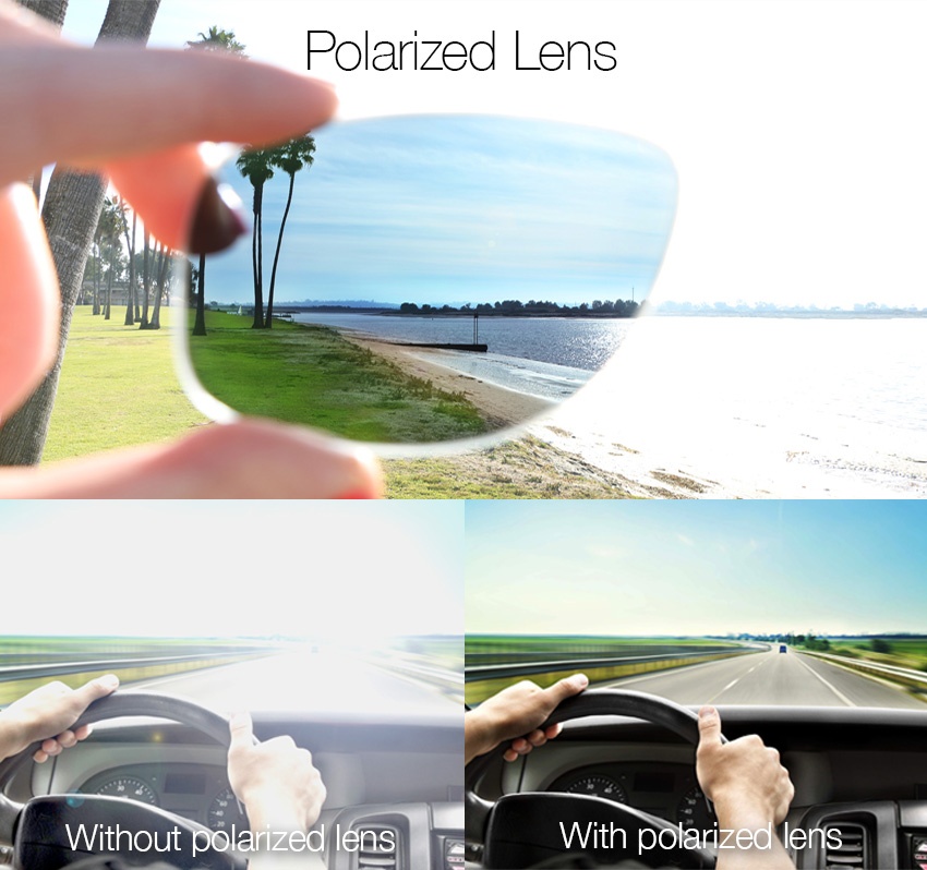Polarized